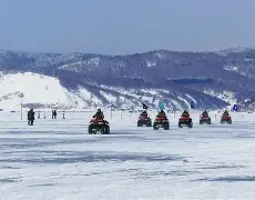 利斯特城战胜较量,高歌胜利 利斯特城战胜较量,高歌胜利